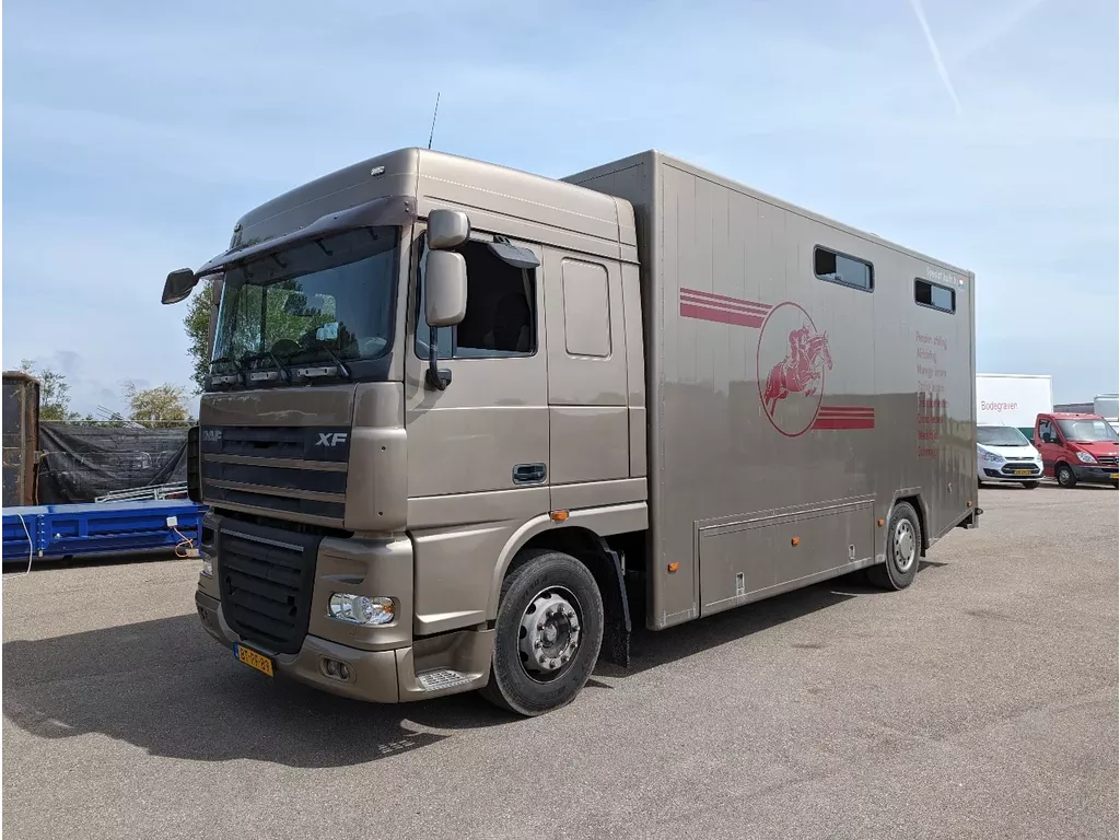 DAF XF 105 95 paardenwagen, veevervoer